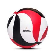 Volleyball - Image 2