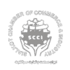scci-iconF.png